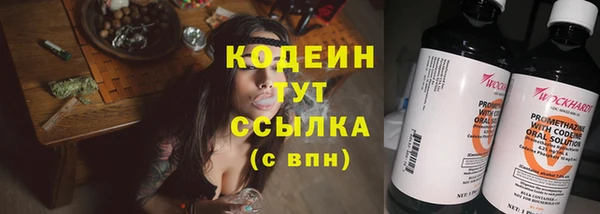 ПСИЛОЦИБИНОВЫЕ ГРИБЫ Арсеньев