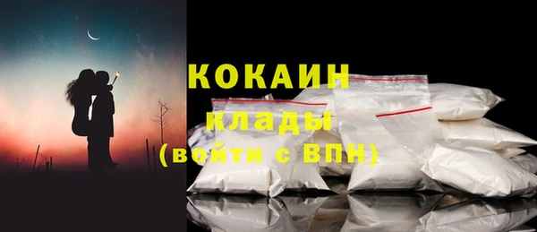 ПСИЛОЦИБИНОВЫЕ ГРИБЫ Арсеньев