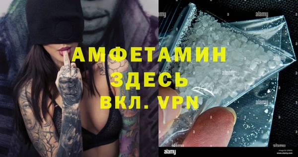ПСИЛОЦИБИНОВЫЕ ГРИБЫ Арсеньев