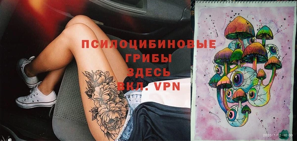 ПСИЛОЦИБИНОВЫЕ ГРИБЫ Арсеньев