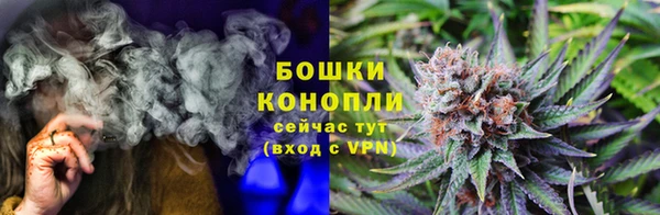 ПСИЛОЦИБИНОВЫЕ ГРИБЫ Арсеньев