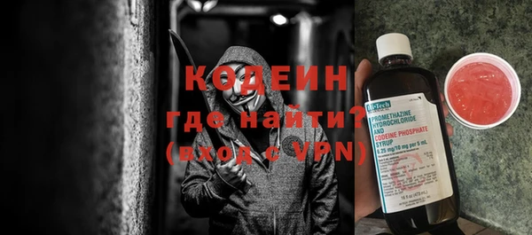 ПСИЛОЦИБИНОВЫЕ ГРИБЫ Арсеньев