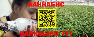 Альфа ПВП Гатчина