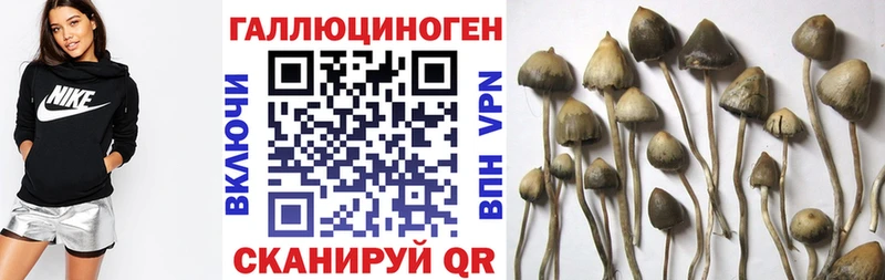 блэк спрут зеркало  Белгород  Псилоцибиновые грибы мухоморы 